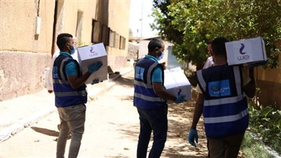 «صناع الخير» توزع كراتين مواد غذائية وحقائب للوقاية بمحافظتى الأقصر وأسوان