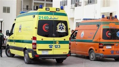 مصرع شخص صدمته سيارة بالبحيرة