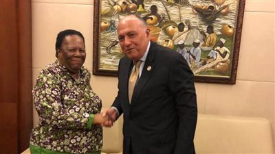 شكري يبحث مع نظيرته الجنوب أفريقية تطوير العلاقات