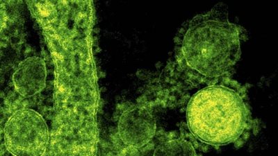  المتحدث الرسمي بالمنوفية: إجراءات احترازية ضد ”كورونا“ 