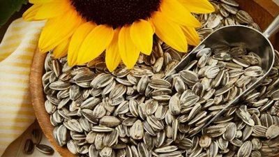 ما فائدة بذور عباد الشمس؟
