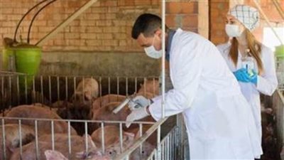 مرض جديد يظهر فى الصين..تعرف على تفاصيله وهل يصيب الإنسان  ؟