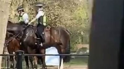 جريمة أخلاقية على باب القصر الملكي