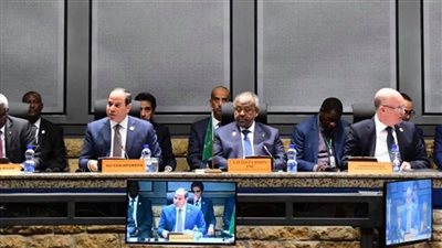 الرئيس السيسي يهنئ رؤساء تونس والجزائر وموريتانيا