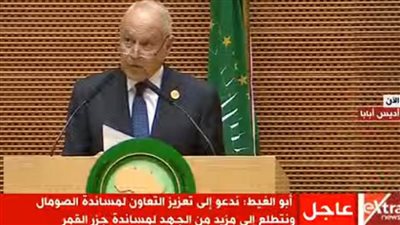 أبو الغيط: نحضّر للقمة العربية الإفريقية بالسعودية