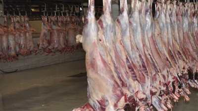 صندوق تحيا مصر يتسلّم 200 طن لحوم 