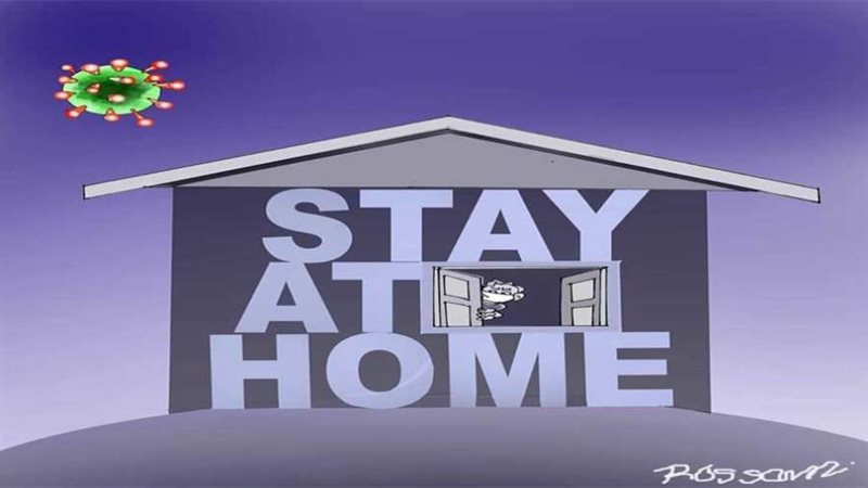 بوابة روز اليوسف