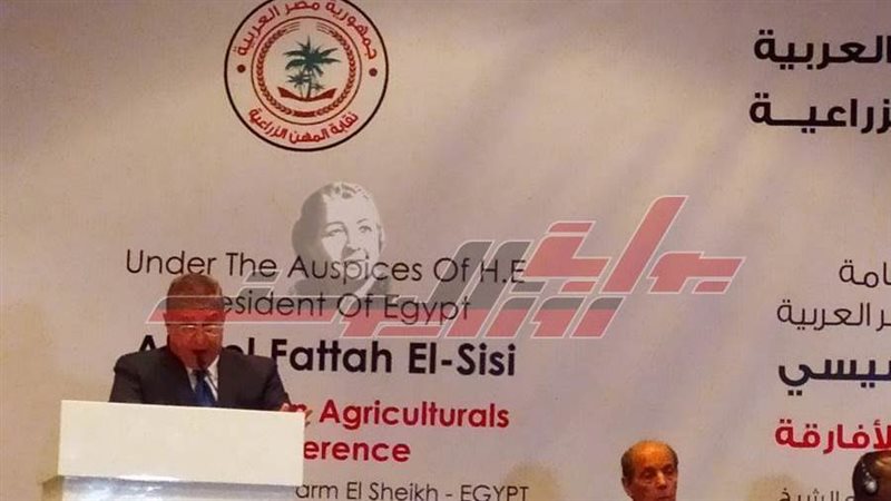 د. محسن البطران أستاذ