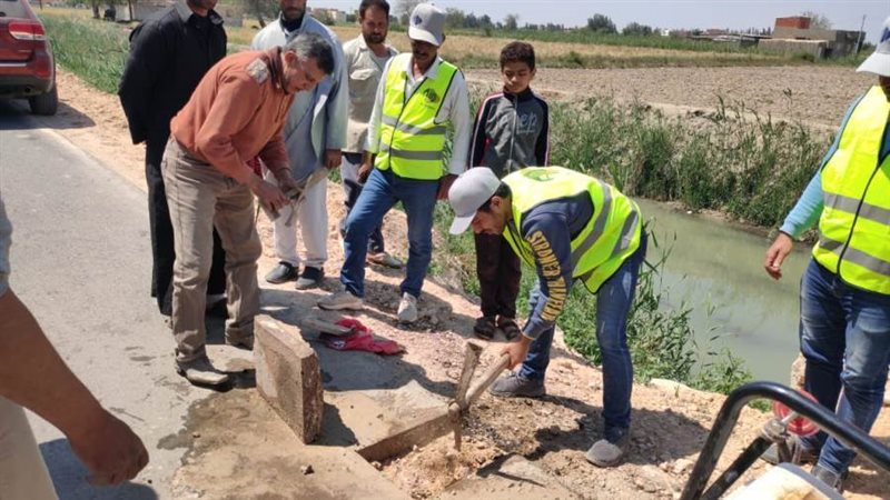 بوابة روز اليوسف