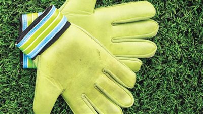 في اليوم العالمي لحراسة المرمى .. تعرف على حماة عرين مصر في المحافل الدولية