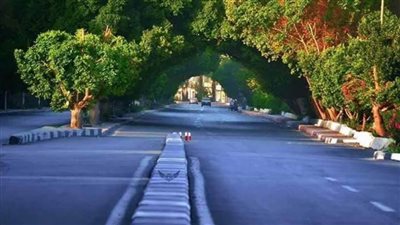 بصور خلابة.. مصريون يدشنون حملة لدعم السياحة