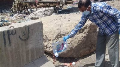 حملة للقضاء على القوارض بجتوب القاهرة