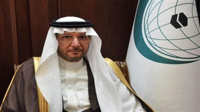 منظمة التعاون الإسلامي تدين هجوم إرهابى في نيجيريا