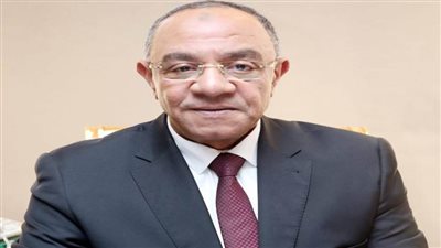 ناصر: «مستقبل وطن» عمل على قلب رجل واحد