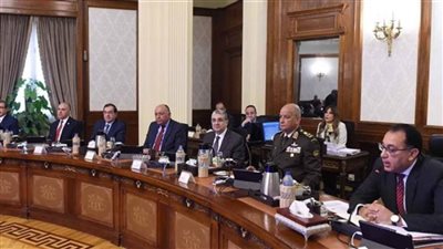   الوزراء ينفي استخدام مبيدات زراعية للخضروات والفاكهة تسبب العقم