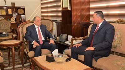 محافظة الدقهلية: 