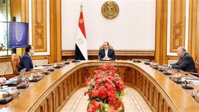عاجل..الرئيس السيسي يوجه بمواصلة جهود إعادة المواطنين العالقين في الخارج