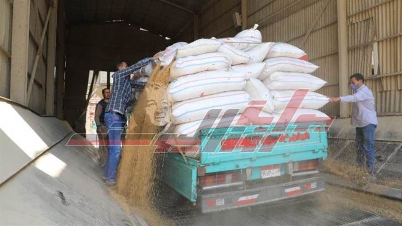 استمرار عمليات توريد