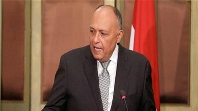 شكرى يبحث مع مستشار الأمن القومي الألماني سبل حل الأزمات