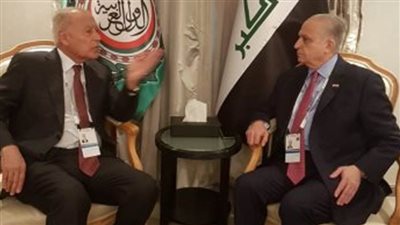 أبو الغيط يبحث مع الحكيم تحضيرات للقمة العربية 31 بالجزائر 