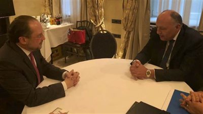 وزير الخارجية يلتقي بنظيره النمساوي