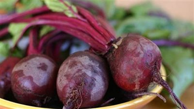 زراعة خمسة الاف فدان من بنجر السكر بدمياط