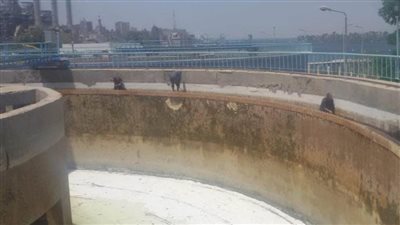 مياه أسيوط: جاهزية 3 مروقات بمحطة نزلة عبد اللاه المرشحة الكبرى بعد الغسيل