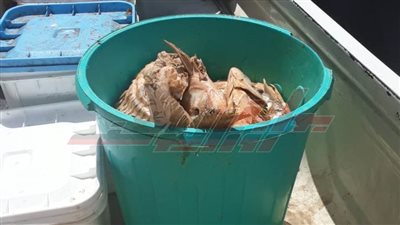 تحرير 11 محضرا تموينيا خلال حملة مكبرة بأسيوط