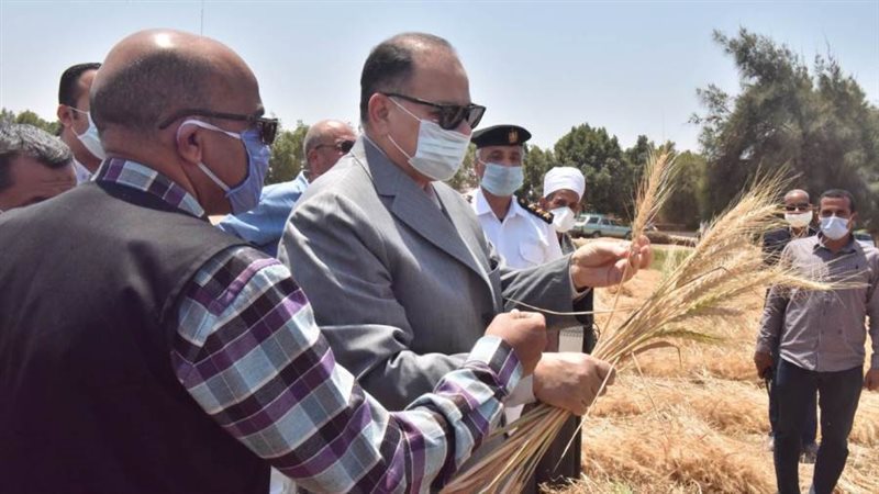 محافظ أسيوط يتفقد