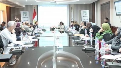 استراتيجية تنمية الطفولة المبكرة في لقاء 