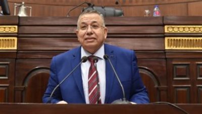 وكيل النواب: 