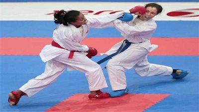 الدقهلية تستعد لتنفيذ أول بطولة كاراتيه أونلاين عبر 