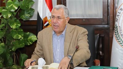 عاجل.. الزراعة: مصر تنتج سنويا 1,4 مليار دجاجة و13 مليار بيضة