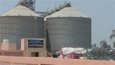 توريد 4 آلاف و700 طن قمح ببني سويف 