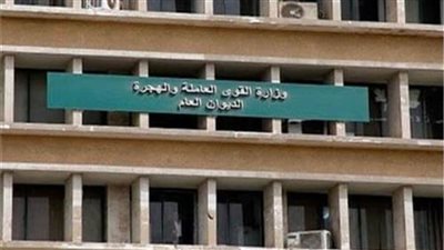 القوى العاملة: بدء تفعيل الخطة الوطنية لمكافحة عمل الأطفال 