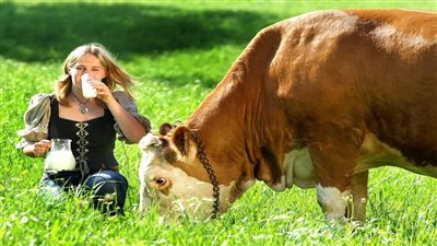 اكتشاف مادة في حليب ولحم البقر تسبب سرطان القولون