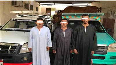 سرقة سيارة نقل محملة بالماشية على طريق أسيوط الشرقي