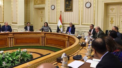 بالإنفوجراف.. الحصاد الأسبوعي لمجلس الوزراء