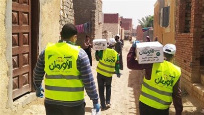 8 آلاف كرتونة مواد غذائية توزعها الأورمان على الأسر بقرى البحيرة