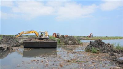  إزالة 85 حوض سمك مخالفًا ببحيرة المنزلة