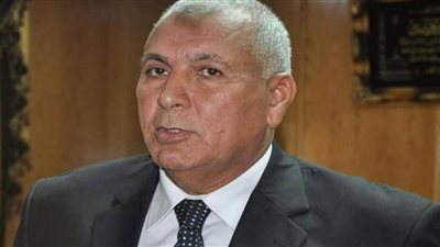 توزيع مساعدات على 2700 أسرة من العمالة غير المنتظمة بالوادي الجديد