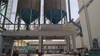 توريد 23 ألف طن من القمح  للصوامع والشون بمراكز محافظة المنيا  