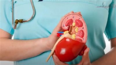 نصائح مهمة لصحة الكلى في رمضان.. تعرّف عليها