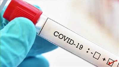 ألمانيا: الإصابات بفيروس كورونا تواصل الارتفاع والوفيات تتجاوز 6 آلاف حالة