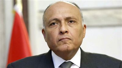 شكري يُؤكد على موقف مصر الراسخ من القضية الفلسطينية