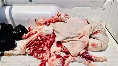 حملات تموينية مكبرة على أسواق 