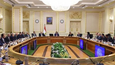 بالإنفوجراف.. الحصاد الأسبوعي لمجلس الوزراء