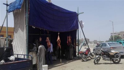 3 منافذ لبيع اللحوم بأسعار مخفضة في إسنا