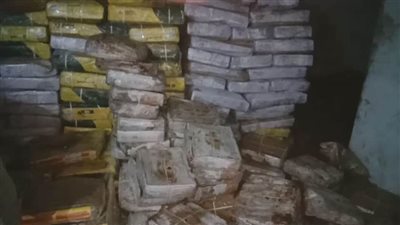 ضبط 3 أطنان لحوم فاسدة بالدقهلية وإحالة الواقعة للنيابة
