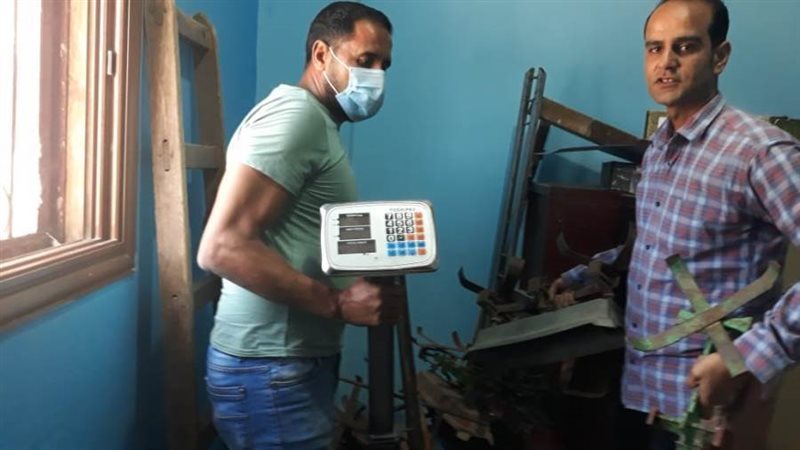 بوابة روز اليوسف